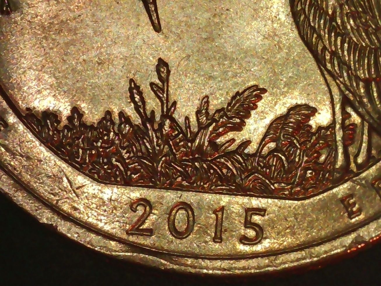 2015-Quarter-Damage-Or-Chips?